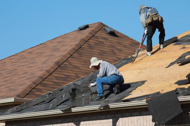Best Skylight Installation and Repair  in Welcome, SC