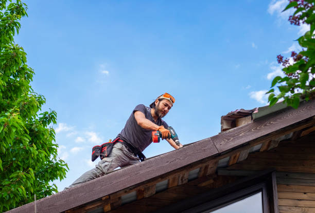 Best Roof Coating Services  in Welcome, SC