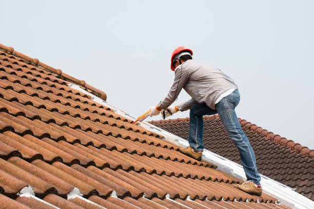 Best Roof Insulation Installation  in Welcome, SC