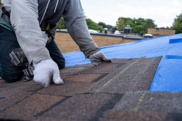 Best Roof Ventilation Installation  in Welcome, SC
